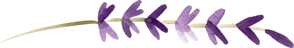 mini_lavender 2_1